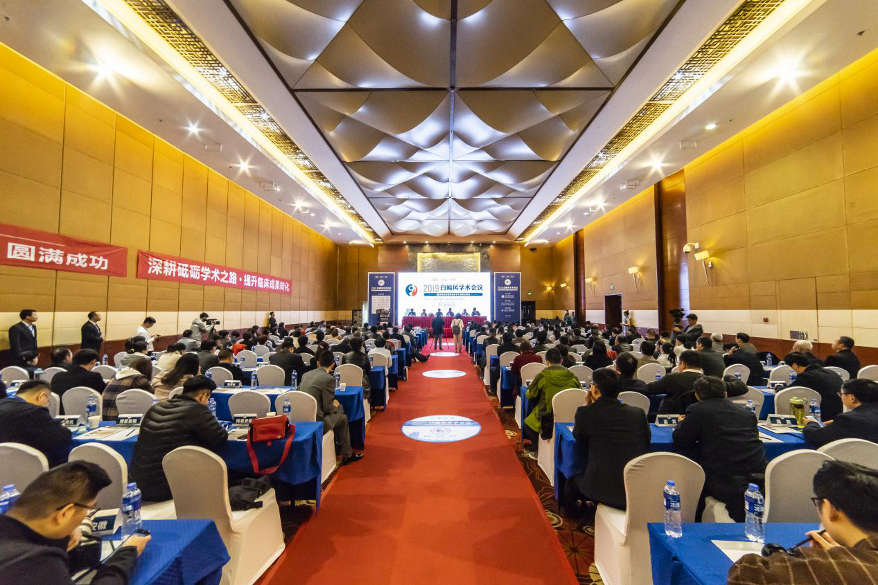 2019白癜风学术会议圆满落幕! 合肥北大白癜风医院学术担当引业界瞩目